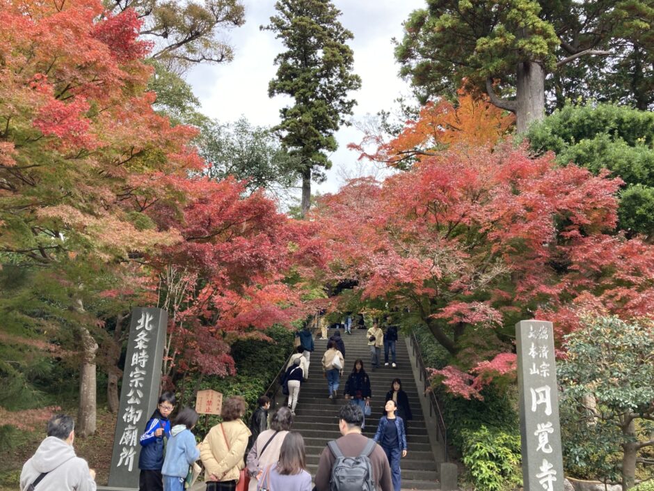 円覚寺雪景色2026