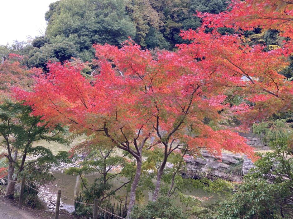 円覚寺雪景色2026
