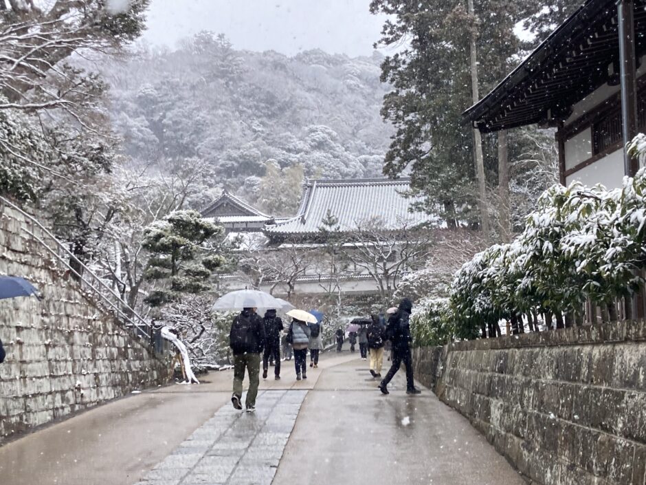 円覚寺雪景色2026